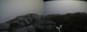 ./images/calvert/buxton2/20180722/buxton220180722_103457M.jpg