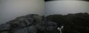 ./images/calvert/buxton2/20180722/buxton220180722_104956M.jpg
