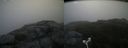 ./images/calvert/buxton2/20180801/buxton220180801_075955M.jpg
