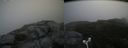 ./images/calvert/buxton2/20180801/buxton220180801_103455M.jpg