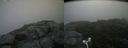 ./images/calvert/buxton2/20180801/buxton220180801_104455M.jpg
