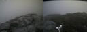 ./images/calvert/buxton2/20180801/buxton220180801_110955M.jpg