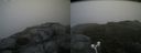 ./images/calvert/buxton2/20180801/buxton220180801_113455M.jpg