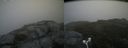 ./images/calvert/buxton2/20180801/buxton220180801_121955M.jpg