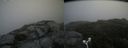 ./images/calvert/buxton2/20180801/buxton220180801_124455M.jpg