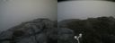 ./images/calvert/buxton2/20180801/buxton220180801_141455M.jpg