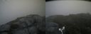 ./images/calvert/buxton2/20180801/buxton220180801_151455M.jpg
