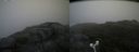 ./images/calvert/buxton2/20180802/buxton220180802_074455M.jpg