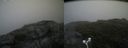 ./images/calvert/buxton2/20180802/buxton220180802_103455M.jpg
