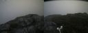 ./images/calvert/buxton2/20180802/buxton220180802_105955M.jpg