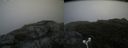 ./images/calvert/buxton2/20180802/buxton220180802_110455M.jpg