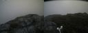 ./images/calvert/buxton2/20180802/buxton220180802_110955M.jpg