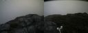 ./images/calvert/buxton2/20180802/buxton220180802_111456M.jpg