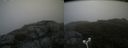./images/calvert/buxton2/20180802/buxton220180802_112455M.jpg