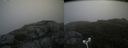 ./images/calvert/buxton2/20180802/buxton220180802_113455M.jpg