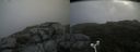 ./images/calvert/buxton2/20180802/buxton220180802_114455M.jpg
