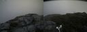 ./images/calvert/buxton2/20180802/buxton220180802_115455M.jpg