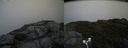 ./images/calvert/buxton2/20180802/buxton220180802_115955M.jpg