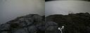 ./images/calvert/buxton2/20180802/buxton220180802_121455M.jpg