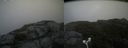 ./images/calvert/buxton2/20180802/buxton220180802_121955M.jpg