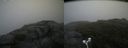 ./images/calvert/buxton2/20180802/buxton220180802_135455M.jpg
