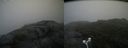 ./images/calvert/buxton2/20180802/buxton220180802_144955M.jpg