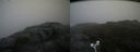 ./images/calvert/buxton2/20180802/buxton220180802_145955M.jpg