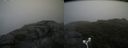 ./images/calvert/buxton2/20180802/buxton220180802_165955M.jpg