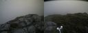 ./images/calvert/buxton2/20180802/buxton220180802_191455M.jpg