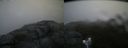 ./images/calvert/buxton2/20180803/buxton220180803_062455M.jpg