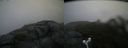 ./images/calvert/buxton2/20180803/buxton220180803_064956M.jpg