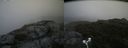 ./images/calvert/buxton2/20180803/buxton220180803_104955M.jpg