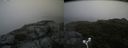 ./images/calvert/buxton2/20180803/buxton220180803_105455M.jpg