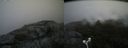 ./images/calvert/buxton2/20180803/buxton220180803_144455M.jpg