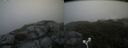 ./images/calvert/buxton2/20180803/buxton220180803_151956M.jpg