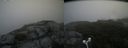 ./images/calvert/buxton2/20180803/buxton220180803_152455M.jpg
