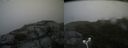 ./images/calvert/buxton2/20180803/buxton220180803_153456M.jpg