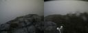 ./images/calvert/buxton2/20180803/buxton220180803_153955M.jpg