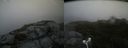 ./images/calvert/buxton2/20180803/buxton220180803_160955M.jpg