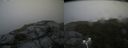 ./images/calvert/buxton2/20180803/buxton220180803_161955M.jpg