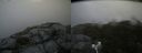 ./images/calvert/buxton2/20180803/buxton220180803_162455M.jpg