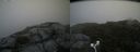 ./images/calvert/buxton2/20180803/buxton220180803_171455M.jpg