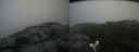 ./images/calvert/buxton2/20180803/buxton220180803_172456M.jpg