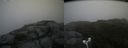./images/calvert/buxton2/20180803/buxton220180803_174955M.jpg