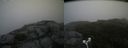 ./images/calvert/buxton2/20180803/buxton220180803_175455M.jpg
