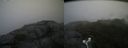 ./images/calvert/buxton2/20180803/buxton220180803_182955M.jpg