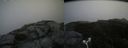 ./images/calvert/buxton2/20180812/buxton220180812_113955M.jpg