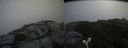 ./images/calvert/buxton2/20180812/buxton220180812_114955M.jpg