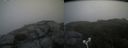 ./images/calvert/buxton2/20180812/buxton220180812_115455M.jpg