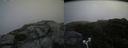 ./images/calvert/buxton2/20180812/buxton220180812_115955M.jpg